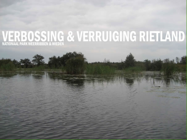 Verbossing & verruiging rietland Weerribben & Wieden