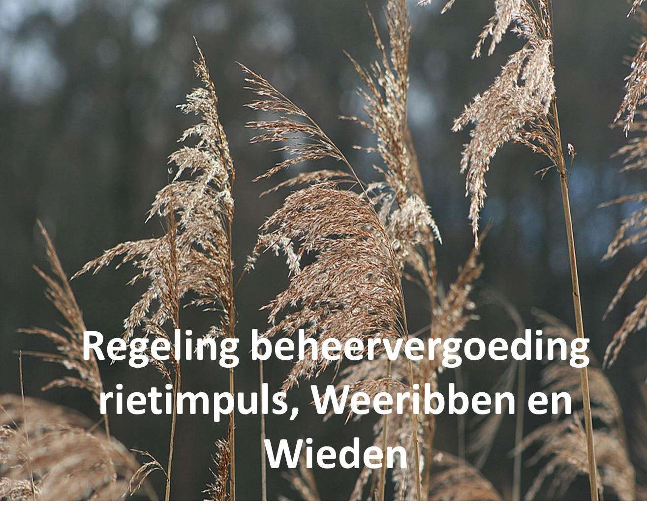 Regeling beheervergoeding rietimpuls, Weerribben & Wieden