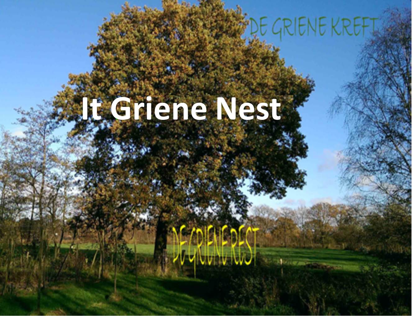 It Griene Nest